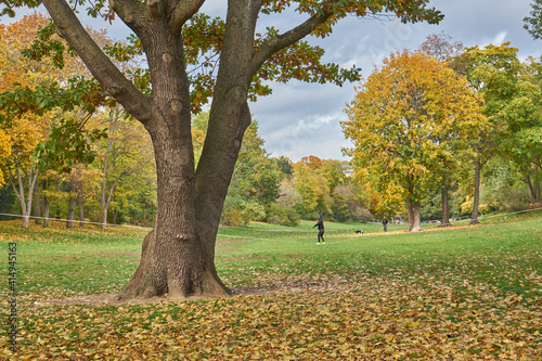 Volkspark Hasenheide, Mann balanciert auf Slackline, Bäume mit Herbstlaub,  Neukölln, Berlin, Deutschland