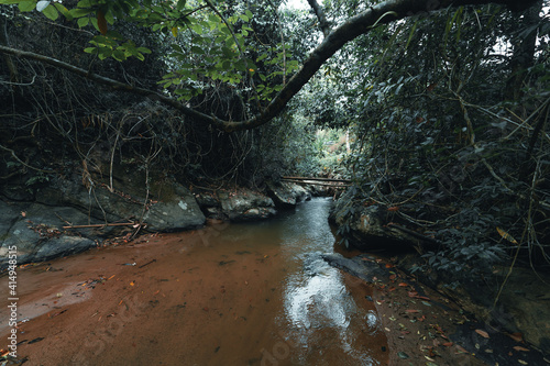 A stream in a tropical forest