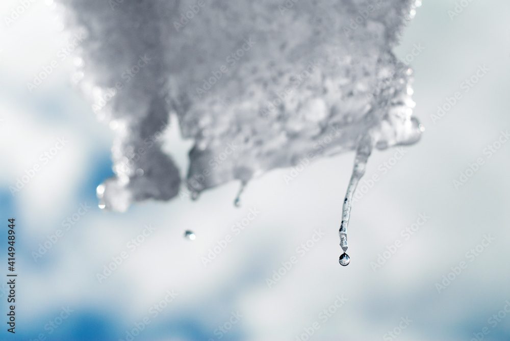 A droplet ready to fall from a melting icicle. Close up image of a droplet with a blurry background. A droplet ready to fall from a melting icicle. Close up image of a droplet with a blurry background.