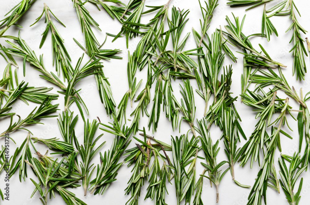 Top view of lot of fresh raw rosemary on the white surface as a background Top view of lot of fresh raw rosemary on the white surface as a background