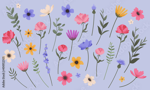 Flower and branch collection. Set of summer flowers  peonies  anemones  daisies and cornflowers. Colorful vintage style florals. Vector illustration.