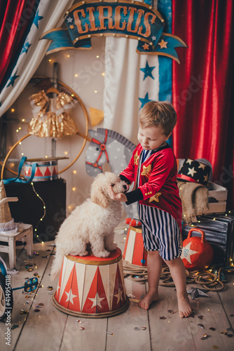 White boy in a circus costume of a trainer. White poodle puppy. Stylized circus photo zone.