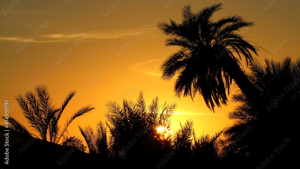 goldgelber Sonnenuntergang bei der Oase Mandara in der Sahara von Libyen