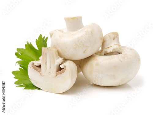 White mushrooms on white background