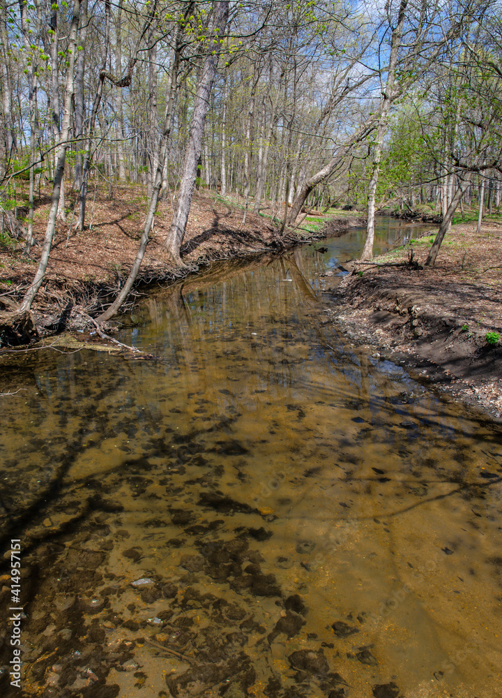 Obraz premium 620-26 St Joseph Creek in Spring