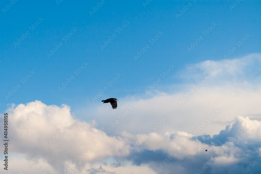 Daytime sky with beautiful clouds as background.