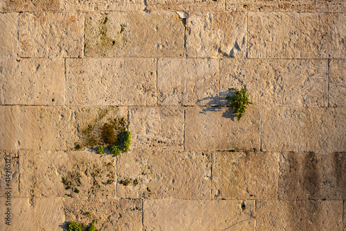 Brick granite wall with green grass at the sunset