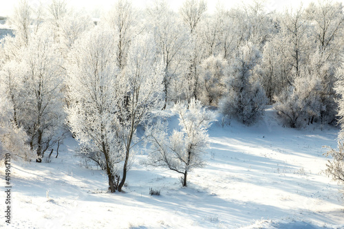 Иней_роща_зима © V_HRYHOR