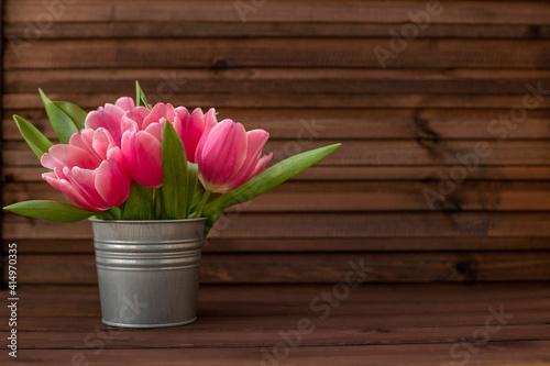 Purple-pink tulips in a tin bucket on a dark wooden background, spring and Easter card, top view, place for text