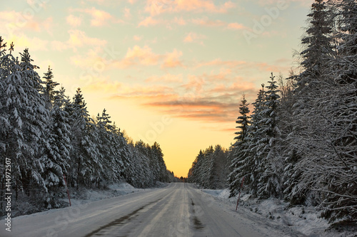 Winter road through a forest at sunset