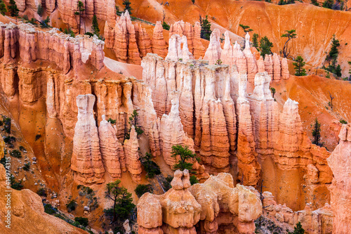 Bryce Canyon National Park, Hoodoos orange rock formations. Utah, USA