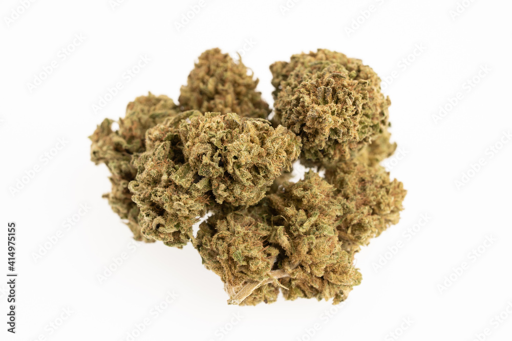 Obraz premium CBD selection - legalized marijuana detailed photos