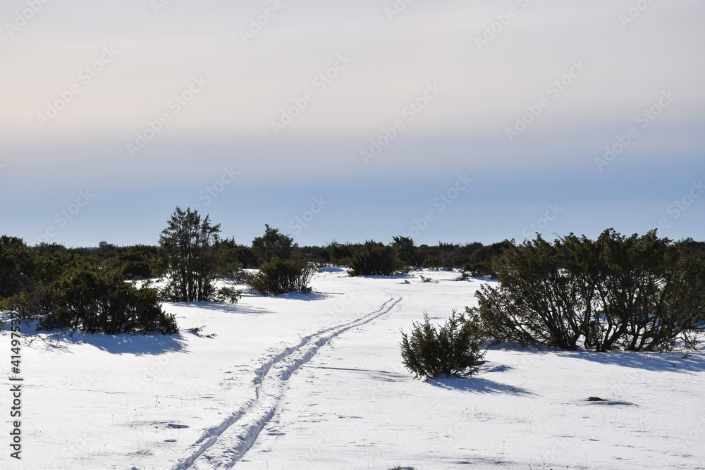 Ski tracks in the landscape Stora Alvaret in Sweden