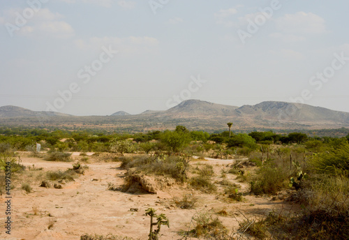 Semi-arid desert Mexico