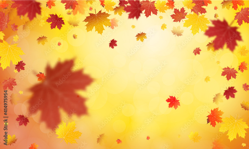 Autumn falling leaves background Vector template. Leaf vector Autumn falling leaves background Vector template. Leaf vector