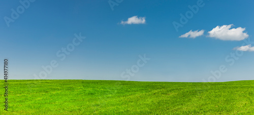 Fotografie Blauer Himmel über einer grünen Wiese