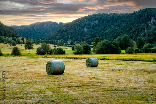 Hay bales in a field in the high Black Forest near Feldberg at sunset. Menzenschwand  Baden-W  rttemberg  Germany