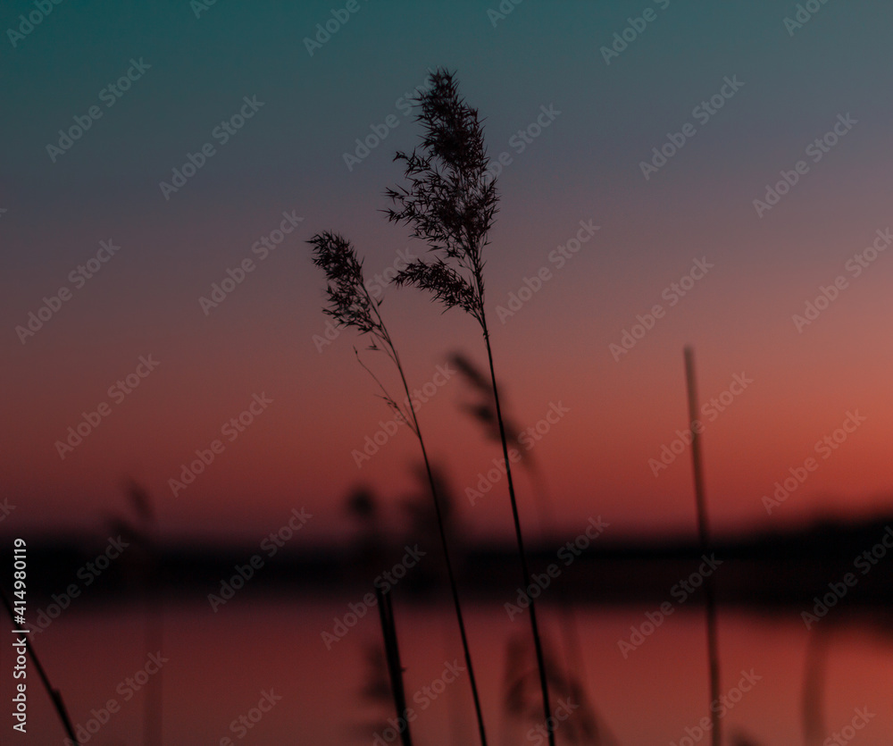 Naklejka premium chilling sunset