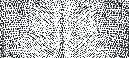 Snake skin seamless pattern. Vector illustration.