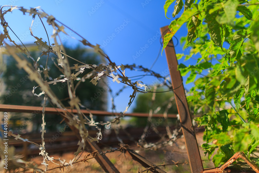 shallow depth of field barbed wire behind the fence shallow depth of field barbed wire behind the fence