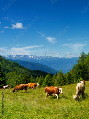 Mountain landscape at summer along the road to Mortirolo pass