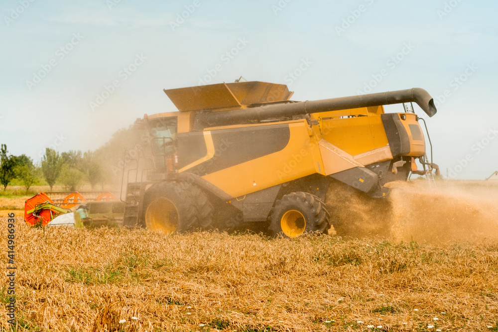 Rotary straw walker cut and threshes ripe wheat grain. Combine harvesters with grain header, wide chaff spreader reaping cereal ears. Gathering crop by agricultural machinery on field on summer season Rotary straw walker cut and threshes ripe wheat grain. Combine harvesters with grain header, wide chaff spreader reaping cereal ears. Gathering crop by agricultural machinery on field on summer season