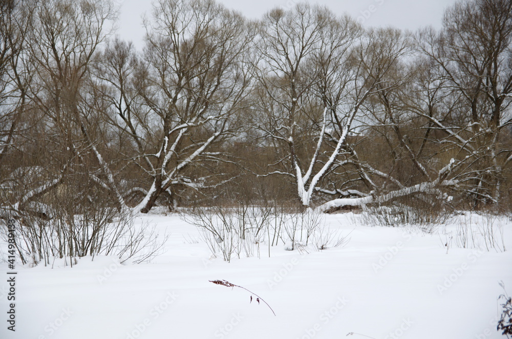 winter, snow, nature, tree, cold, frost, ice, branch, white, sky, plant, frozen, blue, landscape, grass, season, branches, forest, frosty, trees, outdoor, freeze, snowy winter, snow, nature, tree, cold, frost, ice, branch, white, sky, plant, frozen, blue, landscape, grass, season, branches, forest, frosty, trees, outdoor, freeze, snowy
