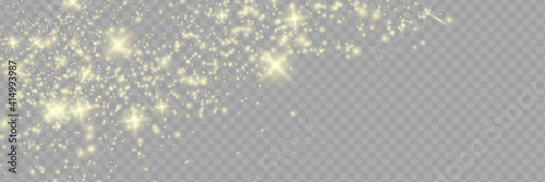 Sparkling magical dust particles . The dust sparks and golden stars shine with special light.