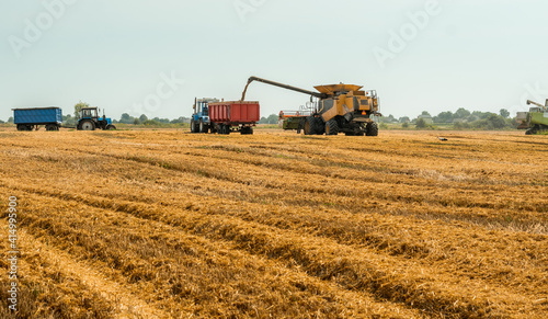 Unloading grains into truck by unloading auger. Combine harvesters cuts and threshes ripe wheat grain. Wheat harvesting on field in summer season. Process of gathering crop by agricultural machinery