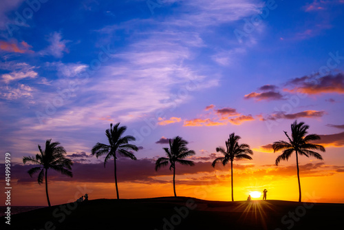 Tropical Hawaiian sunset with palm tree silhouettes © leekris