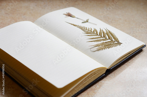 Minimalist desk mockup. Concept of writers journal. Nature meets work desk. Artistic and minimal journaling with dried ferns and natural lighting. 