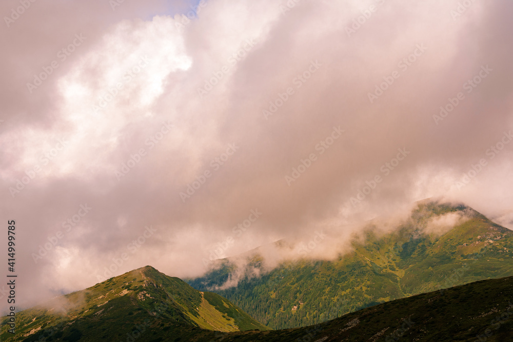 Magical overcast landscape of the Montenegrin ridge in the Carpathians, picturesque landscapes from Gutin Tomnatych, the Carpathians after the summer morning rain.