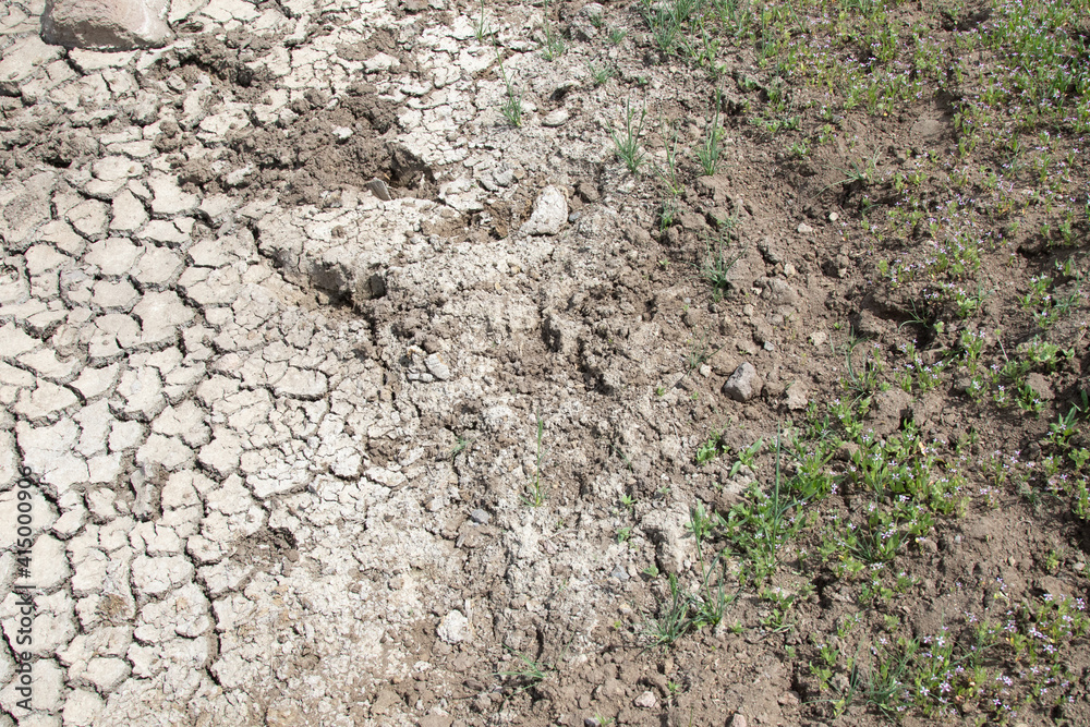 cracked soil background cracked soil background