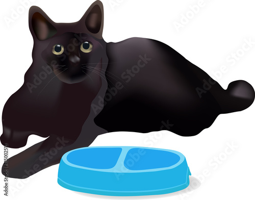hungry black cat lies near the bowl 