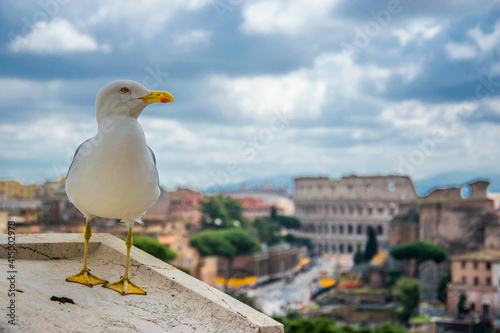 Una gaviota contempla la ciudad de Roma desde lo alto del "Altar de la Patria", en Roma