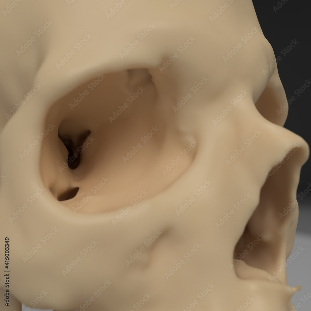 human skull head of a man, anatomical model in photo studio human skull head of a man, anatomical model in photo studio