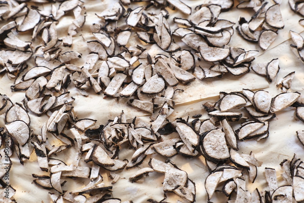 close up of piece of dry fruit