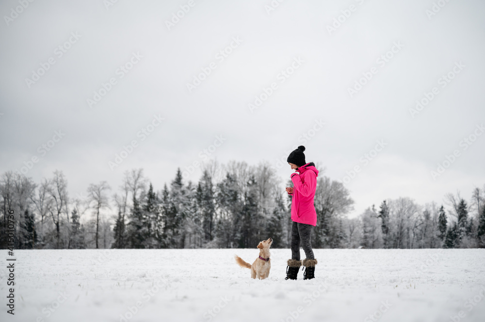 Small cute dog looking at her owner outside in snowy nature