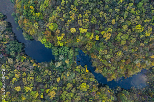 view from above on autumn trees in yellow in the park and lake