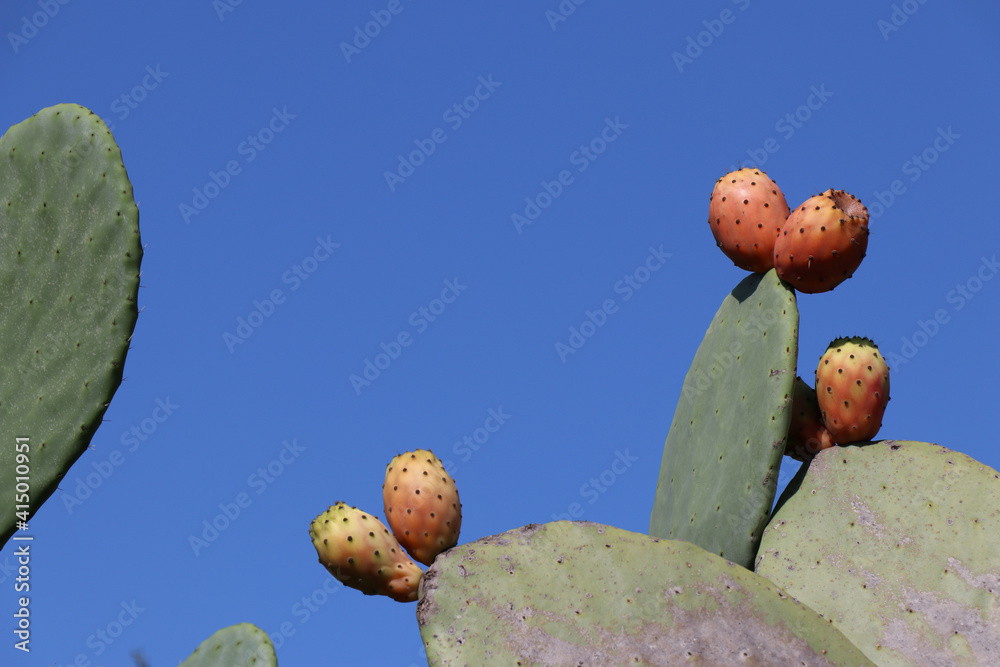 Cours action Renault visual data 2