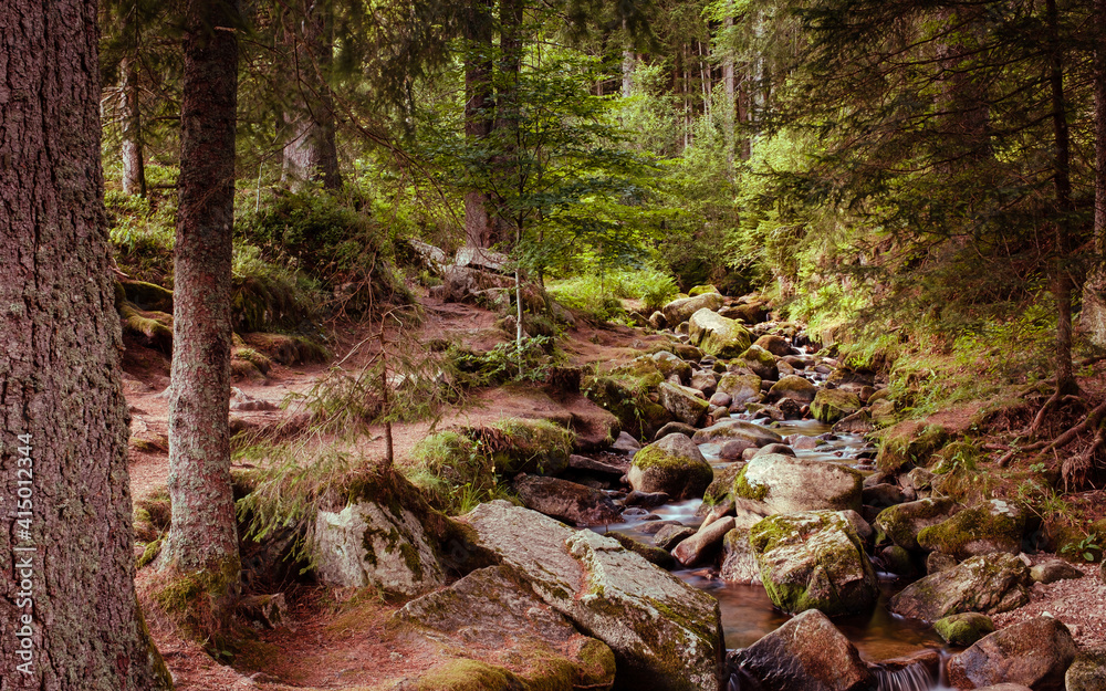 Small stream cascades between mossy stones in the Black Forest in Menzenschwand near Feldberg. Baden-Württemberg, Germany Small stream cascades between mossy stones in the Black Forest in Menzenschwand near Feldberg. Baden-Württemberg, Germany