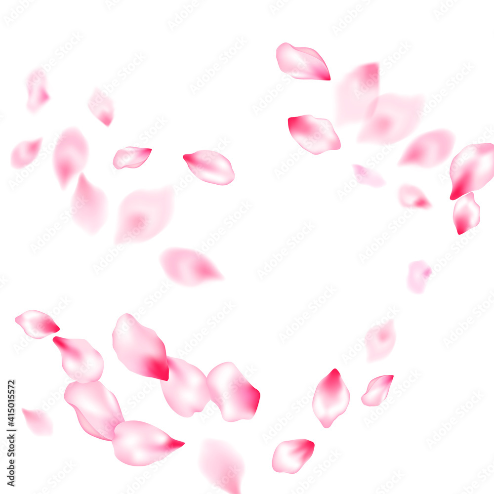 Pink sakura petals confetti flying and falling