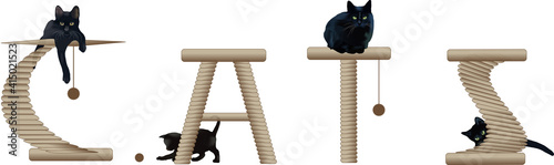 The world of cats. The inscription "cats". 