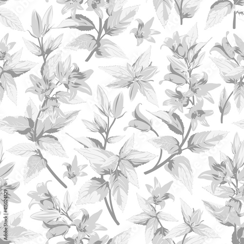 Seamless pattern with Gray Campanula - flowers, isolated on white background. Hand-drawn illustrations.