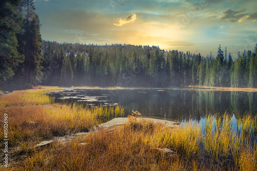 Canvas-taulu Calm pond with yellow grass and pine trees and mist at sunset