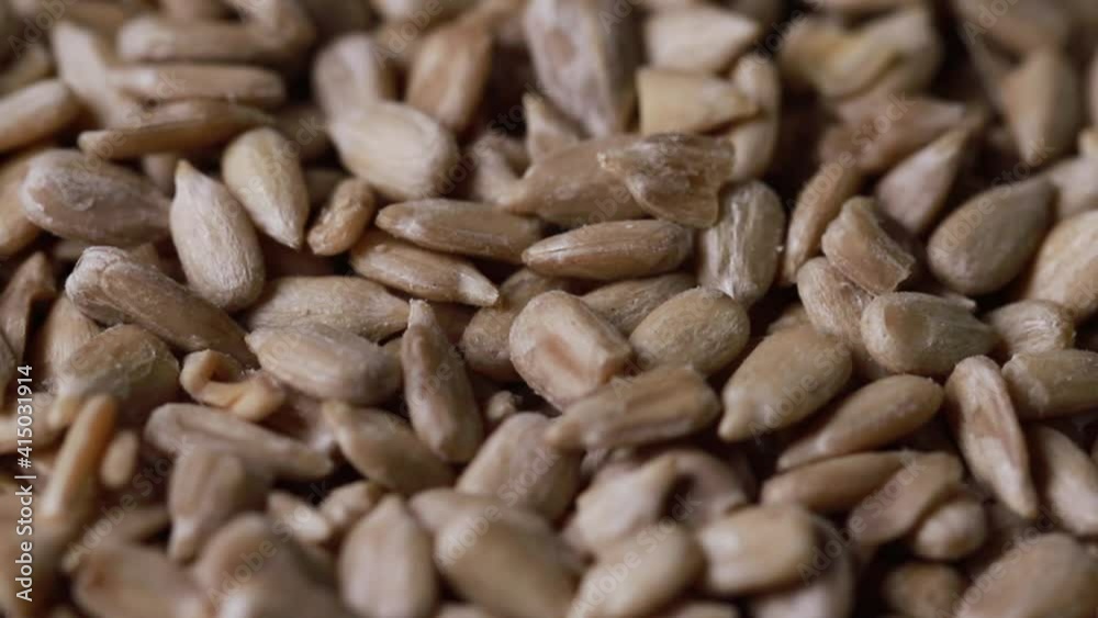 sunflower seeds in a close up with motion sunflower seeds in a close up with motion