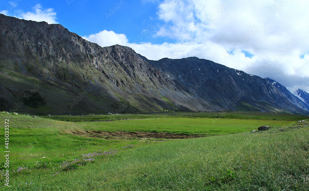 A huge long alpine rocky ridge in the Akkol river valley in Altai in summer, a meadow with grass and flowers, sunny, sky with clouds