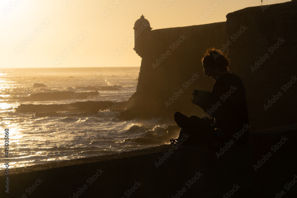custom made wallpaper toronto digitalReader at sunset
