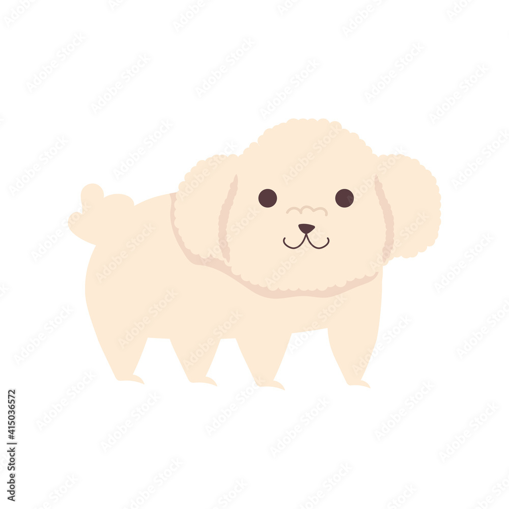 Fototapeta premium cute little dog french poodle character