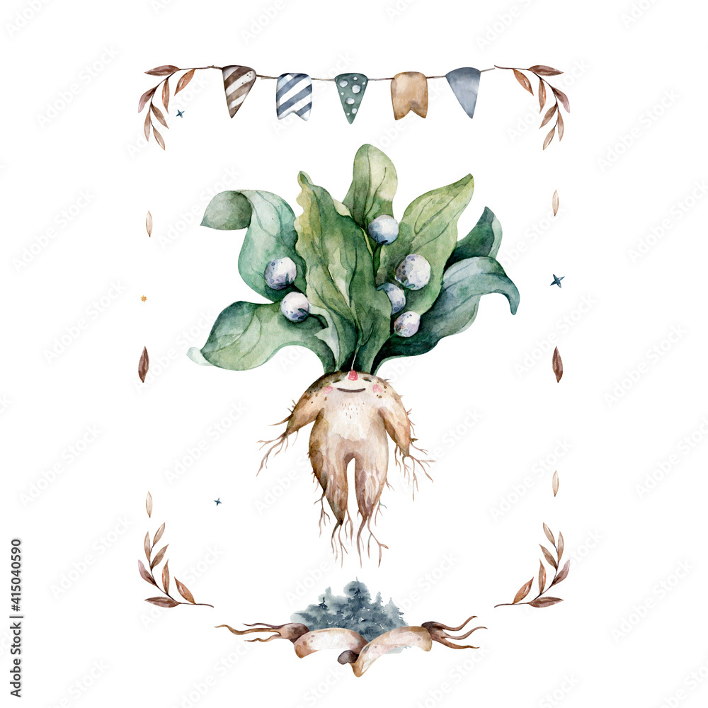 Page 2, Mandrake Vectors & Illustrations for Free Download